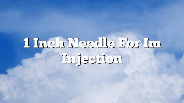 1 Inch Needle For Im Injection