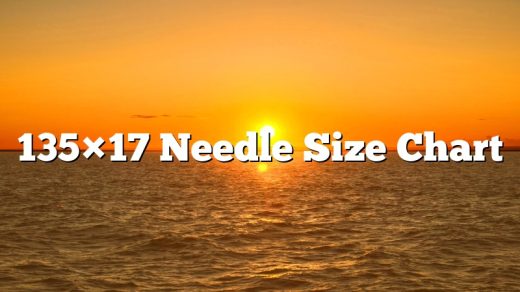 135×17 Needle Size Chart