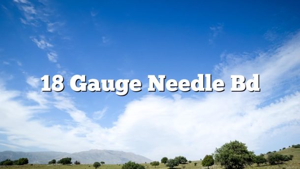 18 Gauge Needle Bd