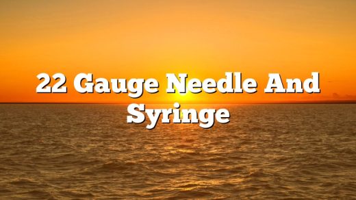22 Gauge Needle And Syringe