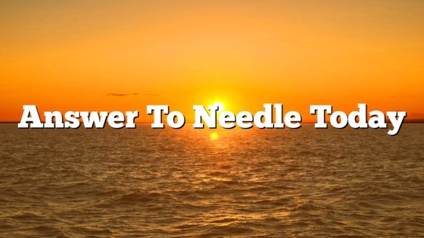 Answer To Needle Today