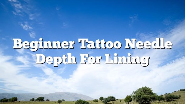 Beginner Tattoo Needle Depth For Lining