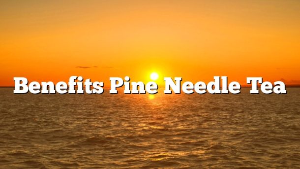 Benefits Pine Needle Tea