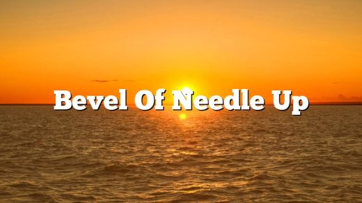 Bevel Of Needle Up