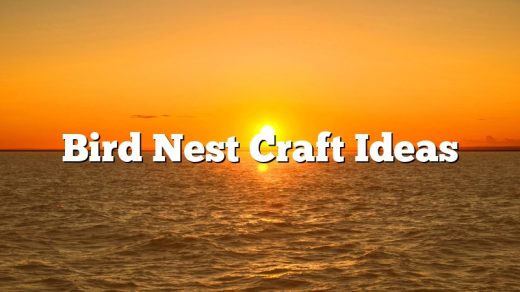 Bird Nest Craft Ideas