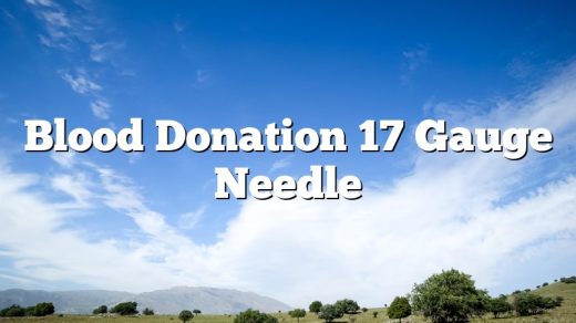 Blood Donation 17 Gauge Needle