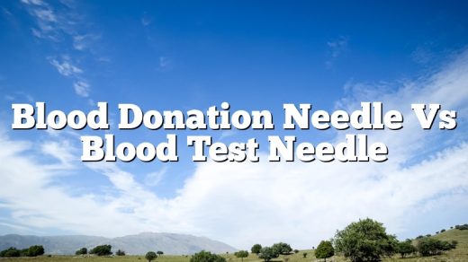Blood Donation Needle Vs Blood Test Needle