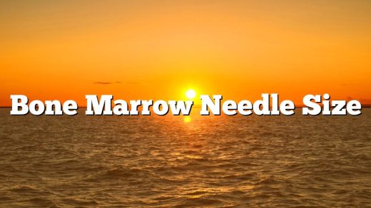 Bone Marrow Needle Size