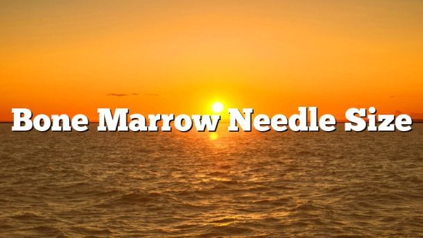 Bone Marrow Needle Size