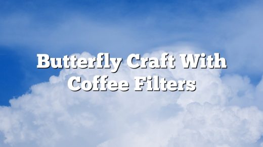 Butterfly Craft With Coffee Filters