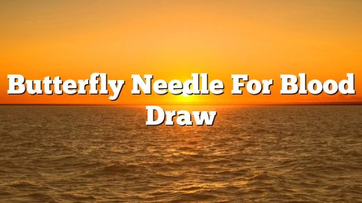 Butterfly Needle For Blood Draw