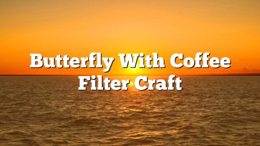 Butterfly With Coffee Filter Craft