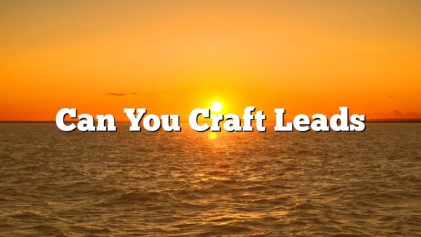 Can You Craft Leads