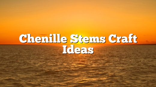 Chenille Stems Craft Ideas