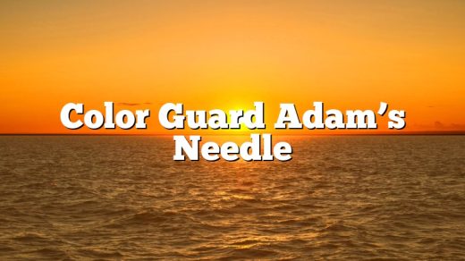 Color Guard Adam’s Needle