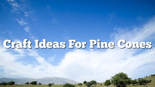 Craft Ideas For Pine Cones
