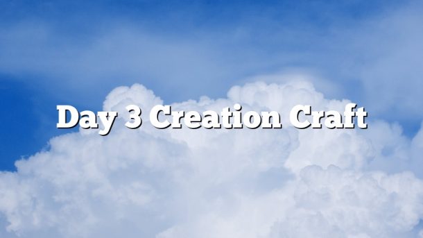 Day 3 Creation Craft