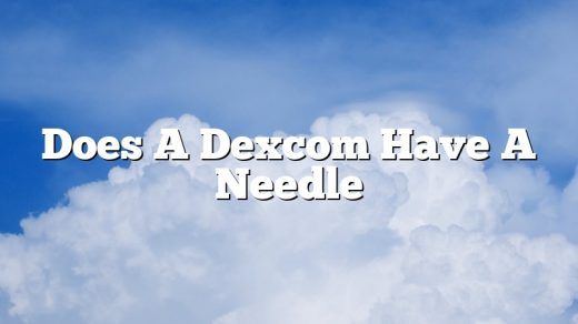 Does A Dexcom Have A Needle