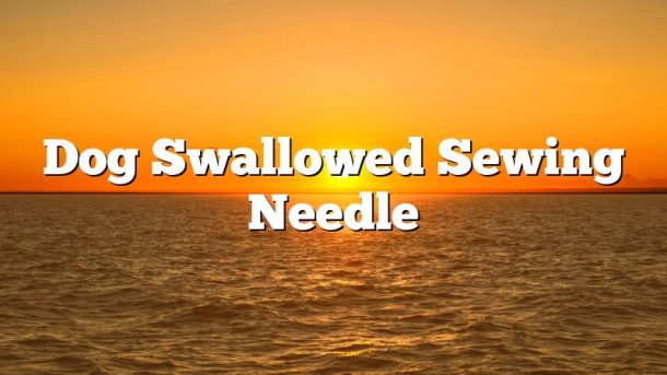 Dog Swallowed Sewing Needle