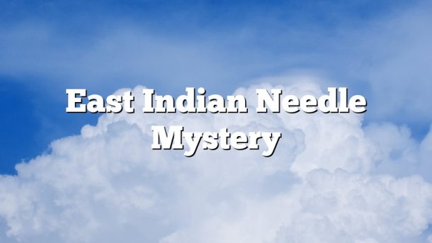East Indian Needle Mystery