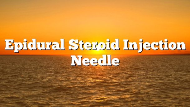Epidural Steroid Injection Needle