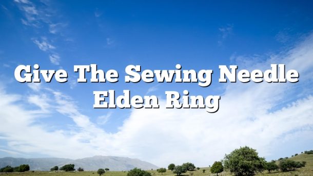 Give The Sewing Needle Elden Ring