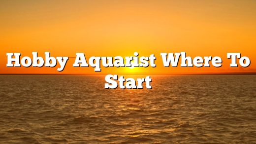 Hobby Aquarist Where To Start