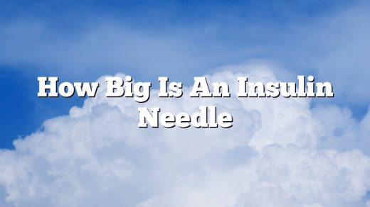 How Big Is An Insulin Needle