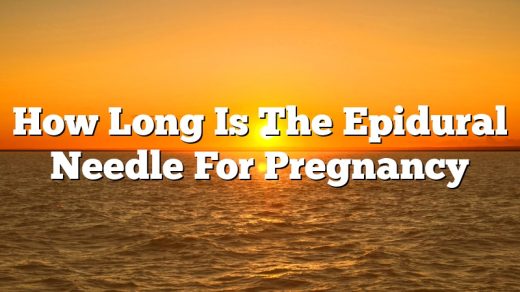 How Long Is The Epidural Needle For Pregnancy