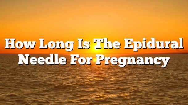 How Long Is The Epidural Needle For Pregnancy