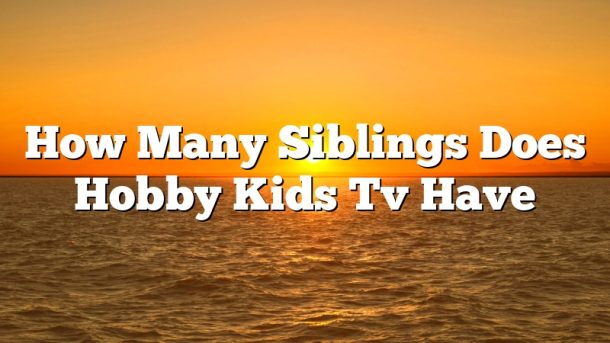How Many Siblings Does Hobby Kids Tv Have