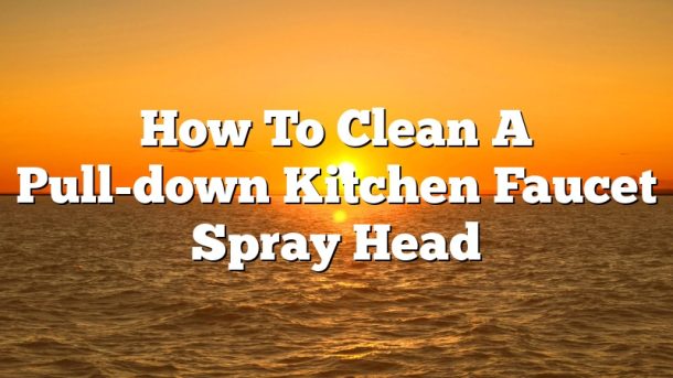 How To Clean A Pull down Kitchen Faucet Spray Head February 2023 