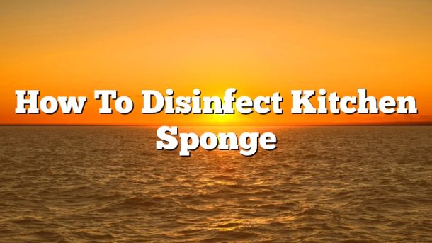 How To Disinfect Kitchen Sponge