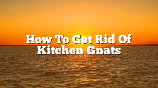 How To Get Rid Of Kitchen Gnats
