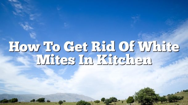 How To Get Rid Of White Mites In Kitchen