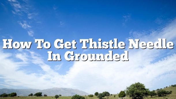 How To Get Thistle Needle In Grounded