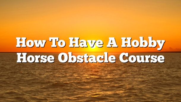 How To Have A Hobby Horse Obstacle Course