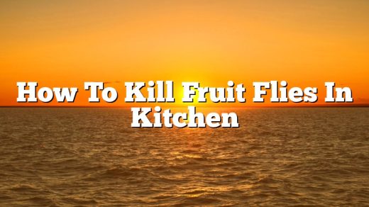 How To Kill Fruit Flies In Kitchen