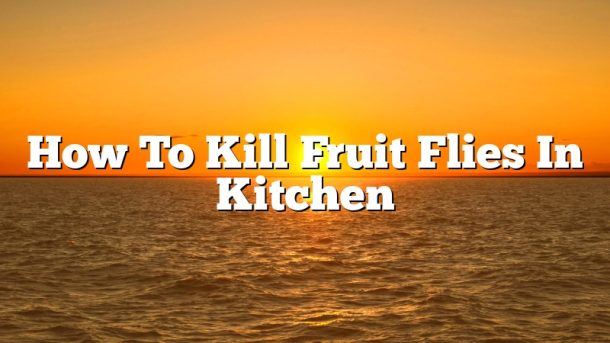 How To Kill Fruit Flies In Kitchen