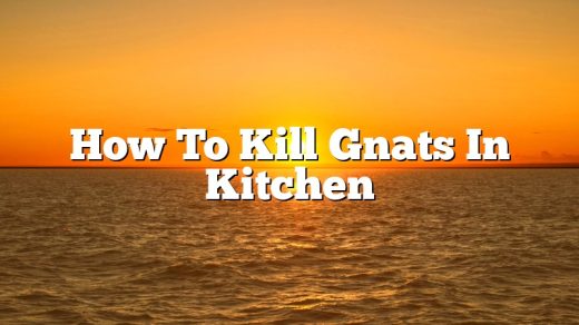 How To Kill Gnats In Kitchen