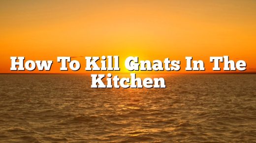 How To Kill Gnats In The Kitchen