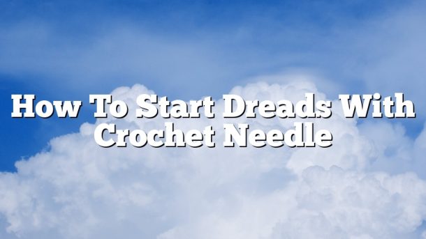 How To Start Dreads With Crochet Needle