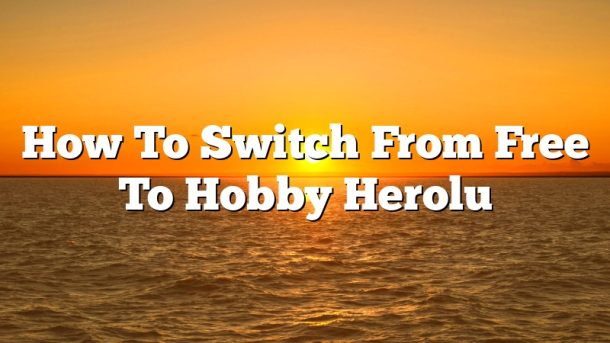 How To Switch From Free To Hobby Herolu