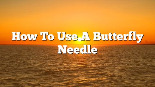 How To Use A Butterfly Needle