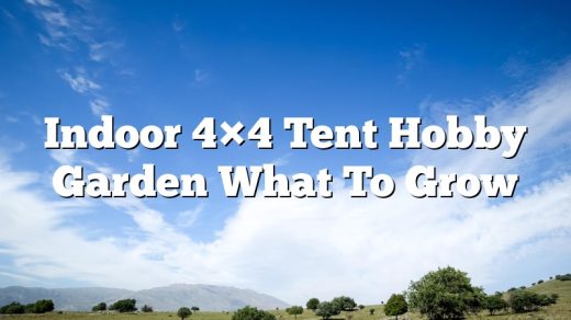 Indoor 4×4 Tent Hobby Garden What To Grow