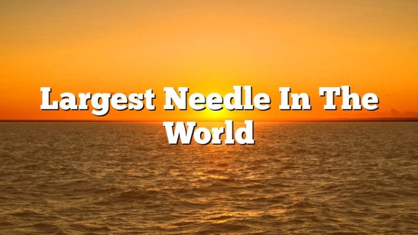 Largest Needle In The World