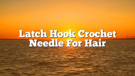 Latch Hook Crochet Needle For Hair