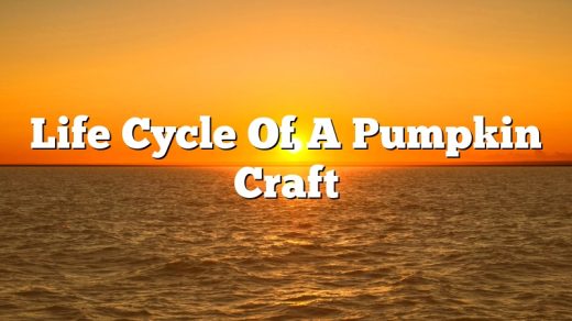 Life Cycle Of A Pumpkin Craft