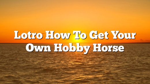 Lotro How To Get Your Own Hobby Horse