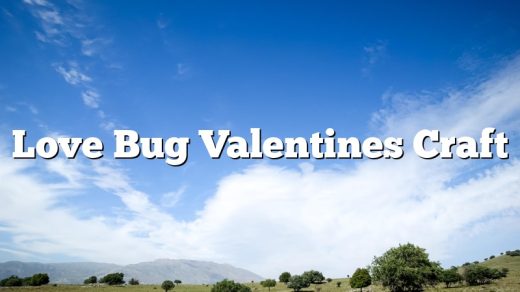 Love Bug Valentines Craft